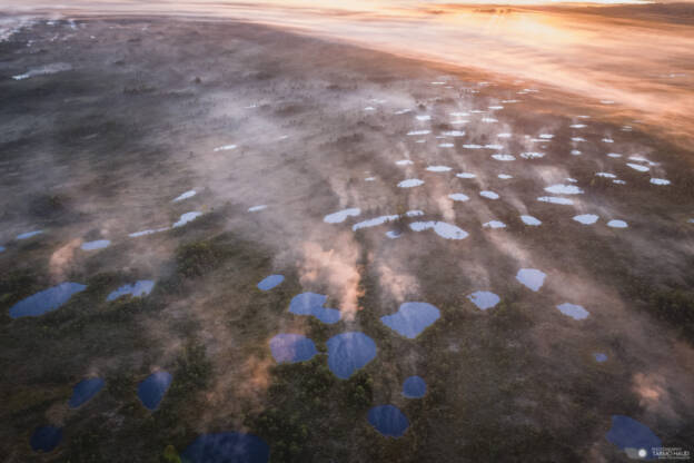 Sunrise at Parika bog