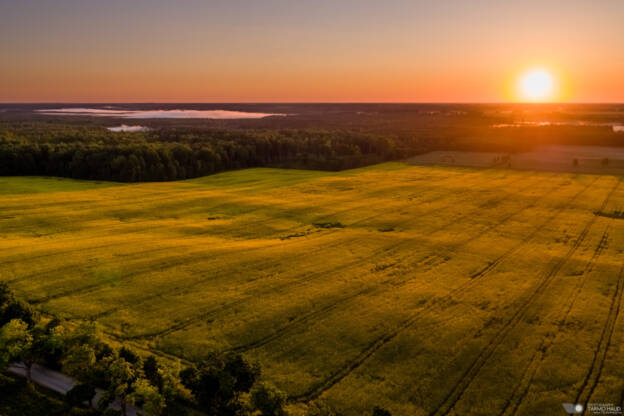 Sunrise at Kuremaa