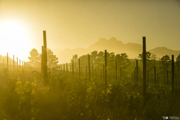 Sunrise at Devon Valley