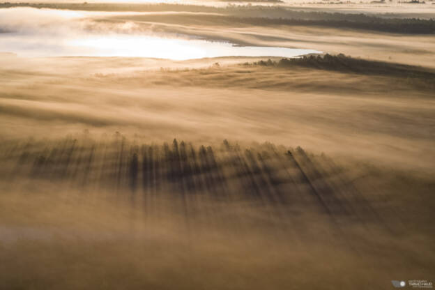 Sunrise at Parika bog