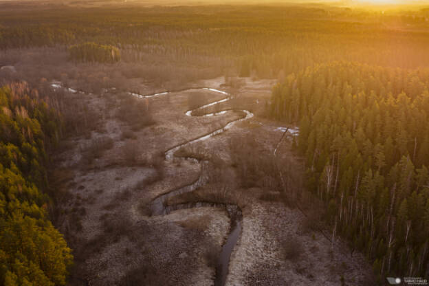 Golden sunrise