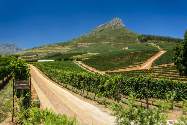 Delaire Graff Wine Estate