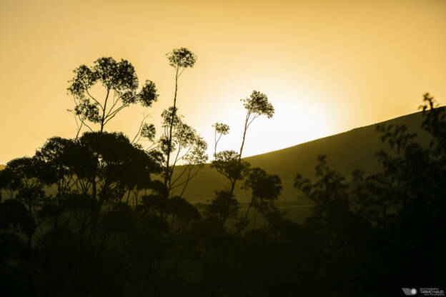 Devon Valley, Stellenbosch