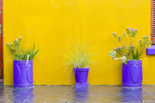 Colors of Bo-Kaap