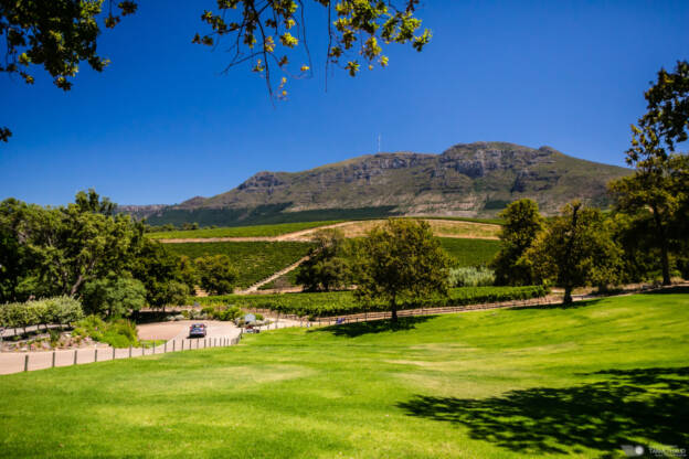 The Kirstenbosch