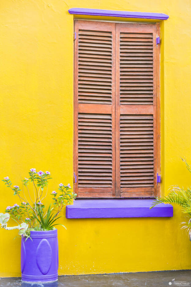 Colors of Bo-Kaap