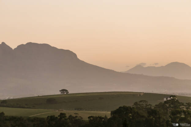 Devon Valley, Stellenbosch