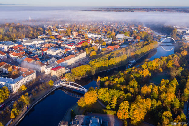 Morning fog